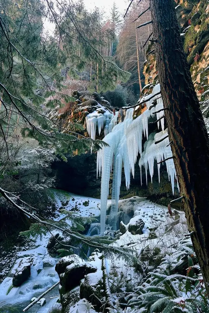 A waterfall in a forest, edited with FLUX 3 Image Klein: Freeze the waterfall into blue-white ice and long icicles