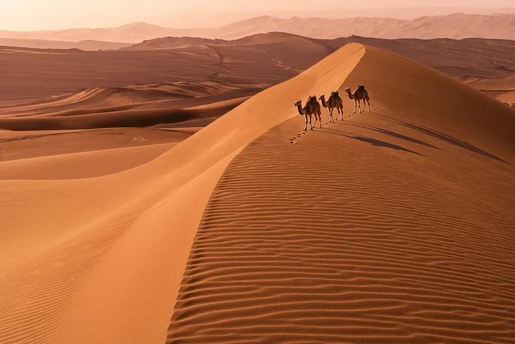 Sand dunes at sunset, edited with FLUX 3 Image Klein: Add a small caravan of three camels along the dune ridge