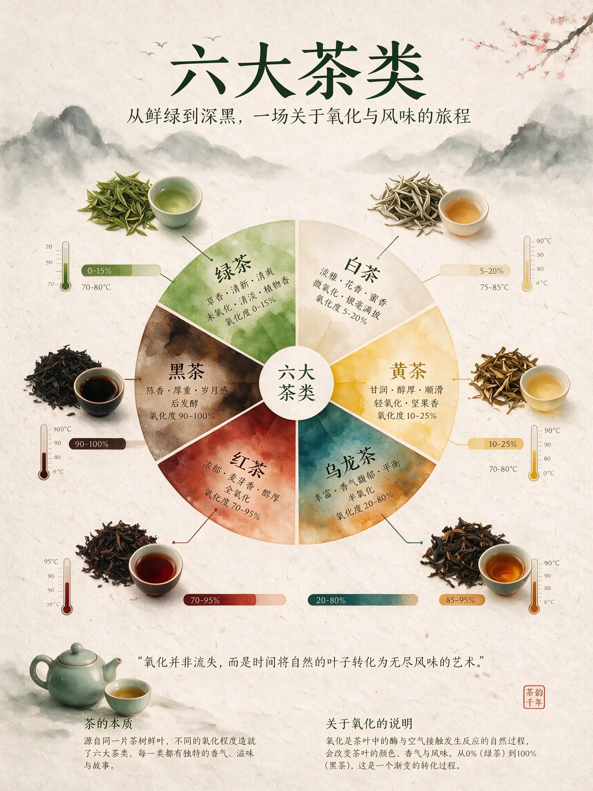 A watercolor infographic of the six major types of tea